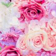 ヒメ日記 2025/01/08 18:26 投稿 まり ニューヨークニューヨーク