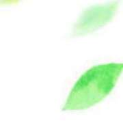 ヒメ日記 2025/01/09 21:32 投稿 まり ニューヨークニューヨーク