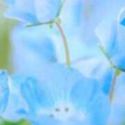 ヒメ日記 2025/01/11 17:46 投稿 まり ニューヨークニューヨーク