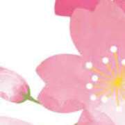 ヒメ日記 2025/01/23 16:25 投稿 まり ニューヨークニューヨーク