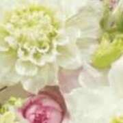 ヒメ日記 2025/01/30 17:16 投稿 まり ニューヨークニューヨーク