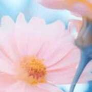 ヒメ日記 2025/02/01 19:42 投稿 まり ニューヨークニューヨーク