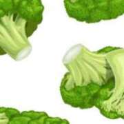 ヒメ日記 2025/02/05 13:58 投稿 まり ニューヨークニューヨーク