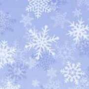 ヒメ日記 2025/02/08 16:20 投稿 まり ニューヨークニューヨーク