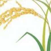 ヒメ日記 2025/02/15 19:52 投稿 まり ニューヨークニューヨーク