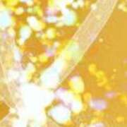 ヒメ日記 2025/02/20 19:05 投稿 まり ニューヨークニューヨーク