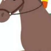 ヒメ日記 2025/02/22 19:56 投稿 まり ニューヨークニューヨーク