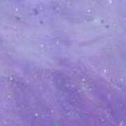 ヒメ日記 2025/02/27 20:48 投稿 まり ニューヨークニューヨーク