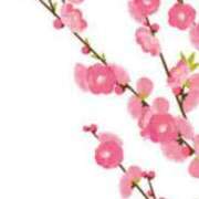 ヒメ日記 2025/03/02 19:16 投稿 まり ニューヨークニューヨーク