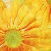 ヒメ日記 2025/03/05 20:24 投稿 まり ニューヨークニューヨーク