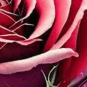 ヒメ日記 2025/03/08 16:14 投稿 まり ニューヨークニューヨーク