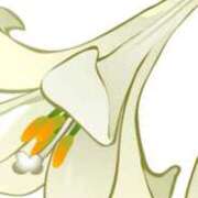 ヒメ日記 2025/03/09 15:42 投稿 まり ニューヨークニューヨーク