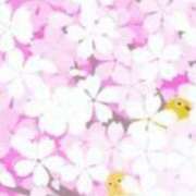 ヒメ日記 2025/03/13 17:27 投稿 まり ニューヨークニューヨーク