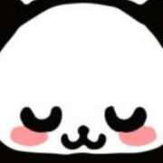 ヒメ日記 2025/03/19 17:37 投稿 まり ニューヨークニューヨーク