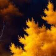 ヒメ日記 2025/03/20 16:10 投稿 まり ニューヨークニューヨーク