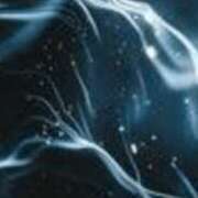 ヒメ日記 2025/04/02 21:28 投稿 まり ニューヨークニューヨーク