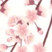 ヒメ日記 2025/04/05 18:28 投稿 まり ニューヨークニューヨーク