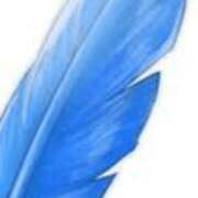 ヒメ日記 2025/04/05 21:05 投稿 まり ニューヨークニューヨーク