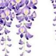 ヒメ日記 2025/04/09 19:51 投稿 まり ニューヨークニューヨーク