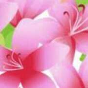 ヒメ日記 2025/04/16 18:24 投稿 まり ニューヨークニューヨーク