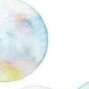 ヒメ日記 2025/04/24 18:46 投稿 まり ニューヨークニューヨーク