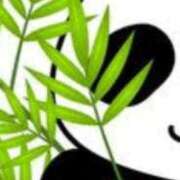 ヒメ日記 2025/04/26 16:27 投稿 まり ニューヨークニューヨーク