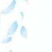 ヒメ日記 2025/04/26 18:54 投稿 まり ニューヨークニューヨーク