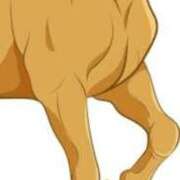 ヒメ日記 2025/04/27 15:51 投稿 まり ニューヨークニューヨーク