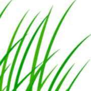 ヒメ日記 2025/05/03 17:27 投稿 まり ニューヨークニューヨーク