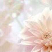 ヒメ日記 2025/05/04 21:09 投稿 まり ニューヨークニューヨーク