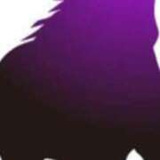 ヒメ日記 2025/05/17 22:10 投稿 まり ニューヨークニューヨーク