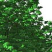 ヒメ日記 2025/06/01 14:26 投稿 まり ニューヨークニューヨーク