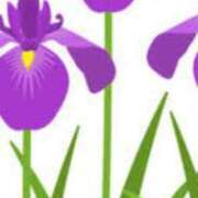 ヒメ日記 2025/06/01 19:05 投稿 まり ニューヨークニューヨーク