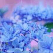 ヒメ日記 2025/06/07 19:49 投稿 まり ニューヨークニューヨーク