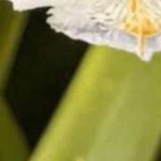 ヒメ日記 2025/06/11 17:38 投稿 まり ニューヨークニューヨーク