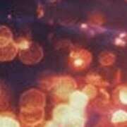 ヒメ日記 2025/06/18 20:53 投稿 まり ニューヨークニューヨーク