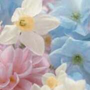 ヒメ日記 2025/06/19 19:48 投稿 まり ニューヨークニューヨーク