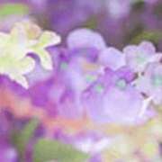 ヒメ日記 2025/06/21 18:01 投稿 まり ニューヨークニューヨーク