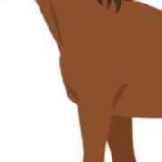 ヒメ日記 2025/06/28 18:54 投稿 まり ニューヨークニューヨーク