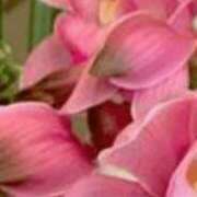 ヒメ日記 2025/06/28 20:51 投稿 まり ニューヨークニューヨーク