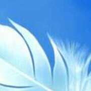 ヒメ日記 2025/06/29 18:53 投稿 まり ニューヨークニューヨーク