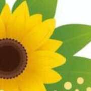 ヒメ日記 2025/07/09 16:07 投稿 まり ニューヨークニューヨーク