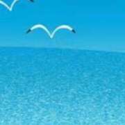 ヒメ日記 2025/07/24 18:50 投稿 まり ニューヨークニューヨーク