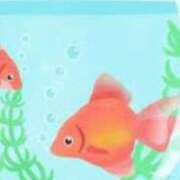 ヒメ日記 2025/08/13 18:06 投稿 まり ニューヨークニューヨーク