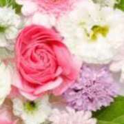 ヒメ日記 2025/08/13 21:05 投稿 まり ニューヨークニューヨーク