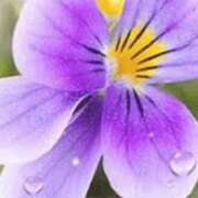 ヒメ日記 2025/08/17 22:10 投稿 まり ニューヨークニューヨーク