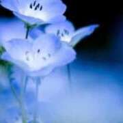 ヒメ日記 2025/08/27 21:53 投稿 まり ニューヨークニューヨーク