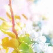 ヒメ日記 2025/08/28 16:13 投稿 まり ニューヨークニューヨーク