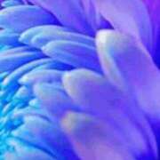 ヒメ日記 2025/09/06 21:57 投稿 まり ニューヨークニューヨーク