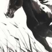 ヒメ日記 2025/09/13 20:33 投稿 まり ニューヨークニューヨーク